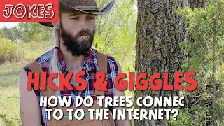 Redneck dad jokes How do trees connect to the internet [upl. by Nitz]