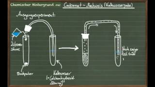 Carbonat Nachweis [upl. by Hewart]