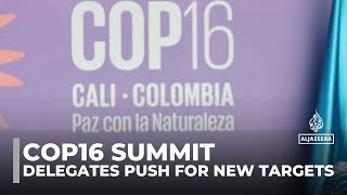 Cop16 biodiversity summit Delegates push for new targets [upl. by Leahcimnhoj]