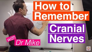 How To Remember Cranial Nerves [upl. by Eelarac789]