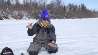 Catching Trout Through The Ice Slender Spoon  Shrimpo Dropper Rig [upl. by Abil]