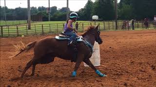 Rose Leaves 2017 Road to the Thoroughbred Makeover [upl. by Sell]