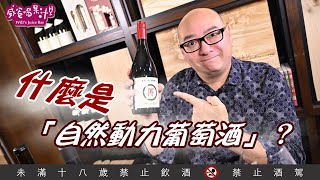 什麼是「自然動力葡萄酒」？【威爸喝果汁 Wills Juice Bar 54】 [upl. by Sihtam]