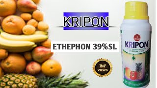 KRIPON PLANT GROWTH REGIALATOR ETHEPHON 39 SL YouTube short fertilizer agriculture [upl. by Yrtnej940]