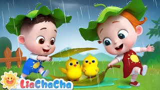 Baby Animals Play in the Rain  Rain Rain Go Away  Kids Songs amp Nursery Rhymes  LiaChaCha [upl. by Ynnad]