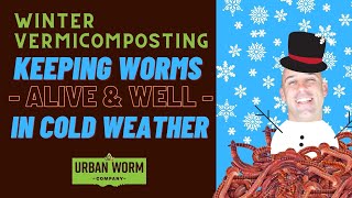 Vermicomposting in Winter 7 Simple Tips to Save Your Worm Bin From the Cold [upl. by Rexferd379]