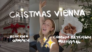 РОЖДЕСТВО В ЕВРОПЕ  Вена Рождественские ЯРМАРКИ пробуем еду  Vienna Christkindlmarkt [upl. by Aneeb]