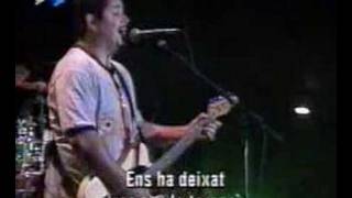 NOFX  Shes Gone live Dr Music Festival 97 [upl. by Claudette]