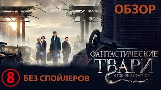 Фантастические твари и где они обитают  обзор фильма [upl. by Grania]