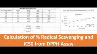 Radical Scavenging Activity Measurement and IC50 Calculation DPPH Assay in Excel [upl. by Harleigh]