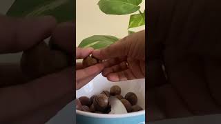 Macadamia Viral Dryfruitmacadamianutstrendingshorts viralvideo musttry [upl. by Xyla]