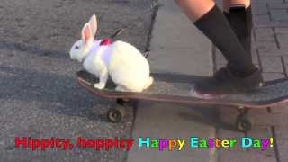 Here Comes Peter Cottontail NURSERY RHYME Childrens Song for EASTER [upl. by Yruoc]