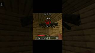 Minecraft spider burn house shorts shortsfeed youtubeshorts [upl. by Nakre]