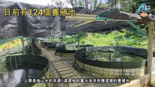 魚老豆花絮 金馬崙之山水魚養殖場 Cameron Highland Fish Farm [upl. by Ajiram]