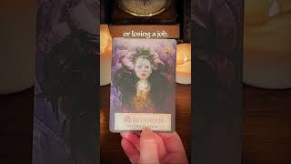 This Found You at The Right Time ✨ tarot tarotreading [upl. by Ahsac117]