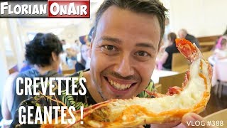 CREVETTES GEANTES et autres FRUITS DE MER à LISBONNE  VLOG 387 [upl. by Yemorej]