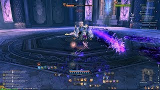 BladeampSoul EL  Samisa BM solo didnt get any hit [upl. by Olinad]