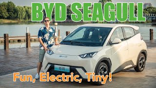 The BYD Seagull Finally A Fun To Drive Tiny EV [upl. by Linnie]