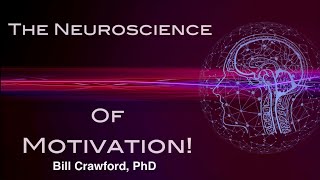 The Neuroscience of Motivation [upl. by Adekan39]