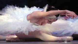 BAILARINA DE CAJITA MUSICAL RICHARD CLAYDERMAN [upl. by Rol]