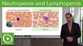 Quantitative WBC Disorders Leukocytosis amp Leukopenia – Pathology  Lecturio [upl. by Strenta666]