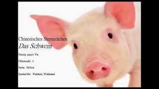 Chinesisches Sternzeichen das Schwein🐖 und seine Eigenschaften Das Schwein ist ehrlich und gerecht [upl. by Ecirtnas410]