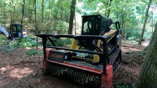 Forestry Mulching the Neighbors Overgrown Backyard Creek [upl. by Rosenberg]