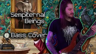 Sempiternal Beings  Haken Bass Cover [upl. by Dow]