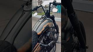 Sound of Harley 🔥  Harley Davidson  Penzl Sound  bikelife shortvideo sound [upl. by Lyle525]