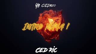 Ced Ric  Intro Maya  Blackpower [upl. by Orv797]