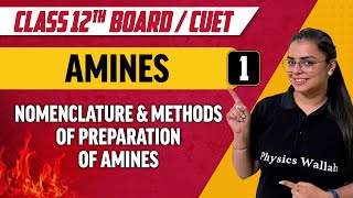 Amines 01  Nomenclature amp Methods of preparation of Amines  Class 12thCUET [upl. by Gerstein]