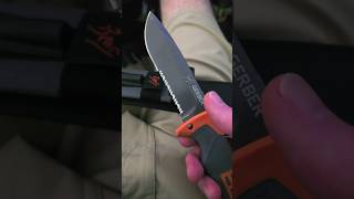 Hate Serrations survival edc knife bushcraft blade shorts knifestuffwedo fixedblade diy [upl. by Eelsel177]