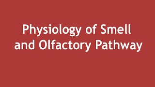 Physiology of Smell and Olfactory Pathway ENGLISH  Dr Shikha Parmar [upl. by Donn343]