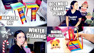 HAMSTER DIY TOYS PLATFORM  WINTER CLEANING AND DECEMBER CHANNEL PLANS [upl. by Pollerd]