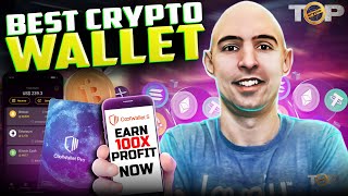 Best Crypto Wallet  Best Crypto Wallets for Beginners [upl. by Eadrahc97]