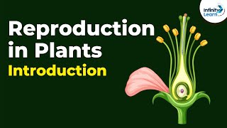 Introduction to Reproduction in Plants  Dont Memorise [upl. by Ottinger783]