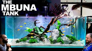 The Mbuna Tank EPIC 4ft FIRST TIME Aquarium Aquascape Tutorial [upl. by Mauricio]