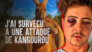 Les 7 conseils de survie à une attaque de kangourou [upl. by Aimil]