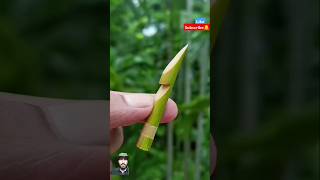 Bamboo creations with Bamboo Stick Slingshots bamboo diy craft youtubeshorts slingshot [upl. by Guenzi]