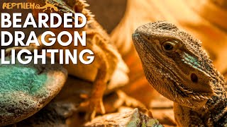 Bearded Dragon Lighting Requirements  A Beginners Guide [upl. by Malik265]