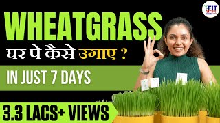 How to Grow Wheatgrass in 7 Days  Detox Your Body  A Complete Guide by Shivangi Desai [upl. by Darsie85]