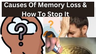 Surprising Things That Cause Memory Loss [upl. by Ttiwed]