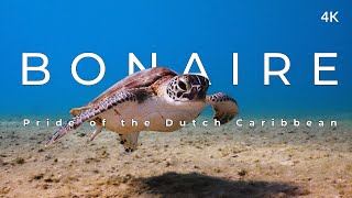 This is Bonaire 4k  Pride of the Dutch Caribbean [upl. by Cassaundra524]