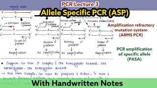 Allele specific PCR  Amplification refractory mutation system PCR amplification of specific allele [upl. by Oigroeg]