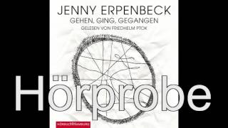 Jenny Erpenbeck  Gehen ging gegangen [upl. by Socrates]