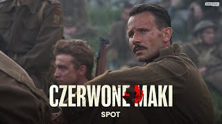 CZERWONE MAKI  Pierwszy polski film o zwycięstwie pod Monte Cassino  Kino Świat [upl. by Llenrahs]