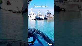 Denarau Marina Nadi fiji cruise travel viralvideo shorts viralvideo trending vacation [upl. by Nertie]