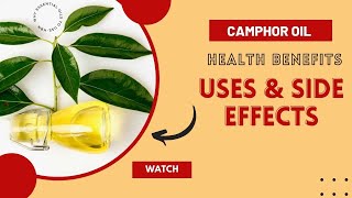 Camphor essential oil health benefits  Camphor Oil Uses and Side Effects [upl. by Sivart]