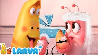 Larvas Animadas Nuevos Episodios 2022 🧡 Larva Episodio Completo 🧇 Larva Nuevos Capitulos 2022 [upl. by Urbanus]