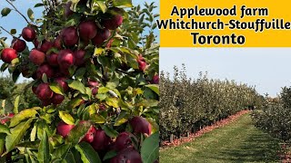 Applewood farm  WhitchurchStouffville Ontario Apple farm Apple farm nearby Scarborough Toronto [upl. by Pownall218]